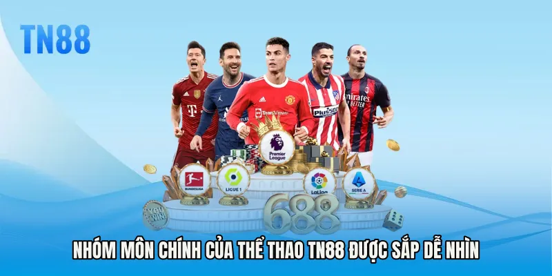 Nhóm môn chính của Thể thao TN88 được sắp dễ nhìn