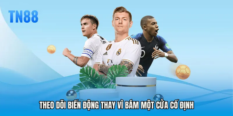 Theo dõi biến động thay vì bám một cửa cố định