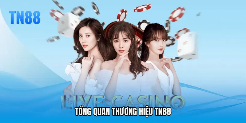 Tổng quan thương hiệu TN88